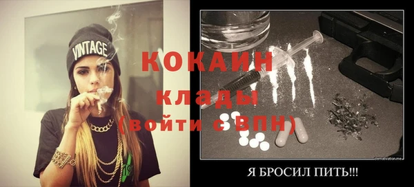 индика Зеленодольск