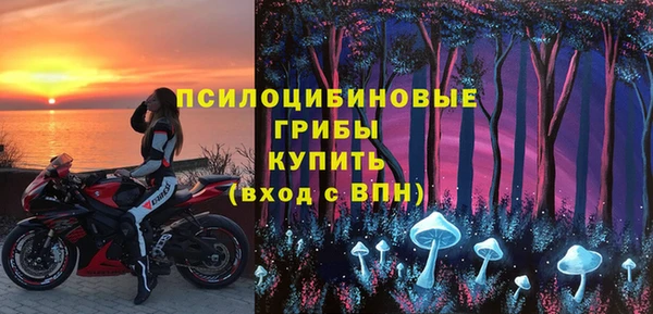 индика Зеленодольск