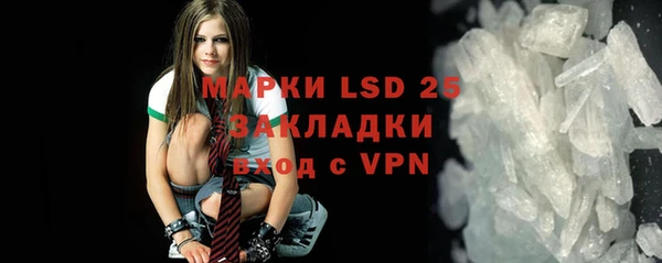 индика Зеленодольск