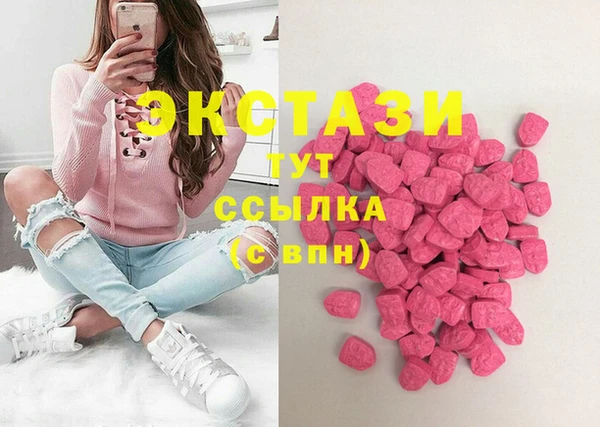 индика Зеленодольск