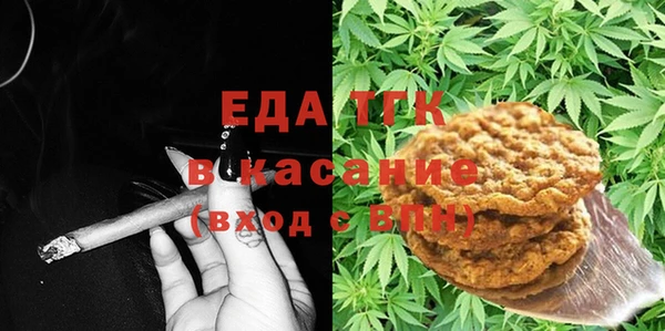 индика Зеленодольск