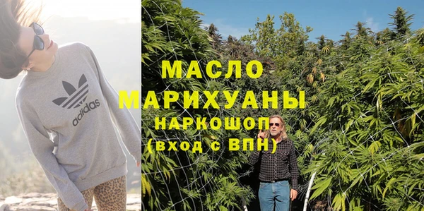 индика Зеленодольск