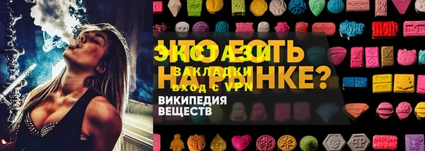 индика Зеленодольск