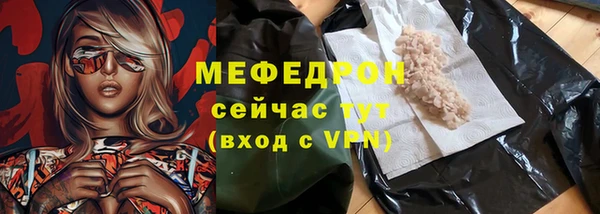 индика Зеленодольск