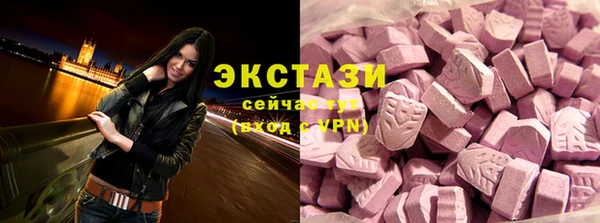 индика Зеленодольск
