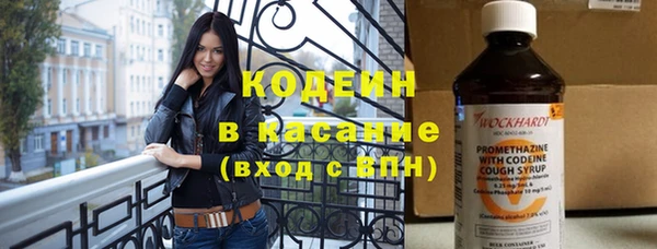 индика Зеленодольск
