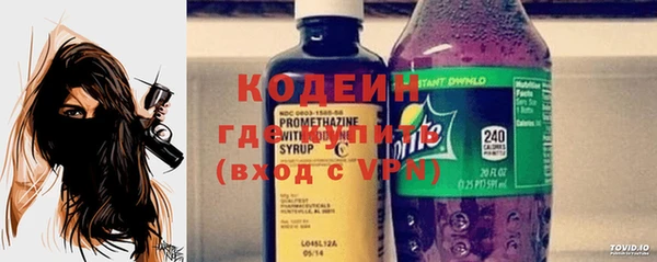 индика Зеленодольск