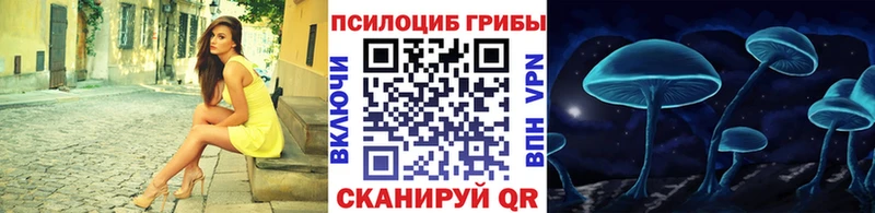 Купить Венёв Псилоцибиновые грибы Psilocybine cubensis